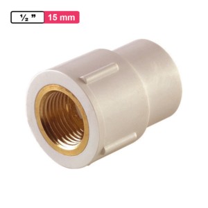 Winmax Brass FTA 0.5inch 15mm