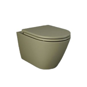 Rak Feeling Water Closet 52cm 520x365x340 Rimless with Resort Seat Cover Thin Matt Greige