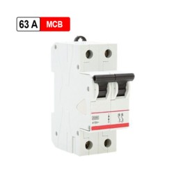 Rolta 63A C Series Double Pole MCB